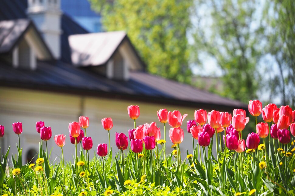 Maryland house during spring time - home improvement